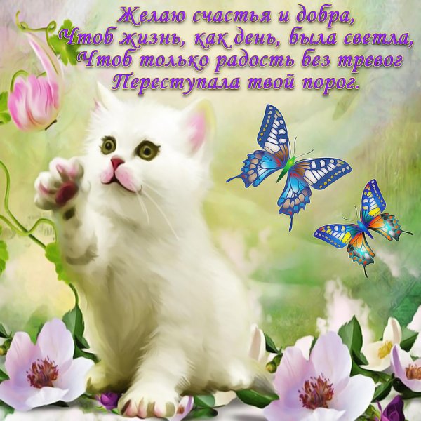 Сдобрым утром аторника