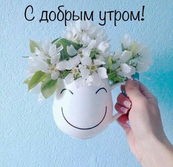 Пожелания с добрым утром и днем