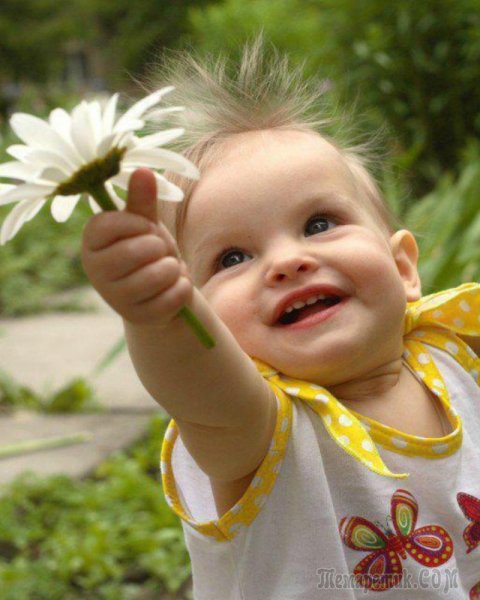 Отличного солнечного настроения