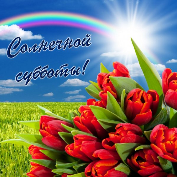 Отличной субботы