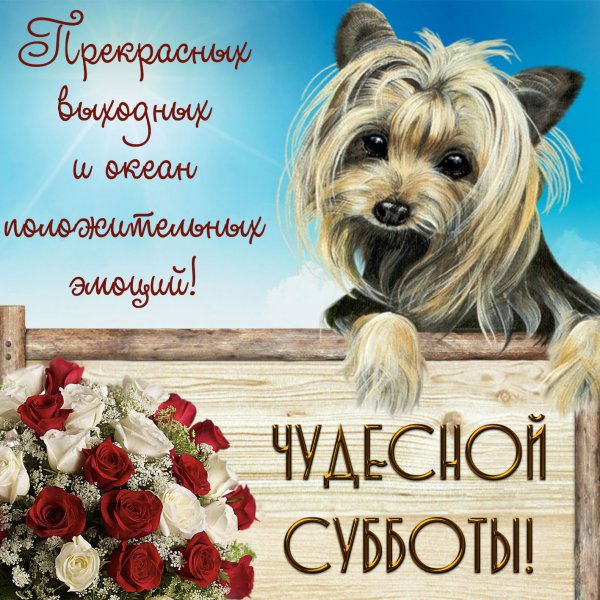 Открытки хорошего субботнего дня