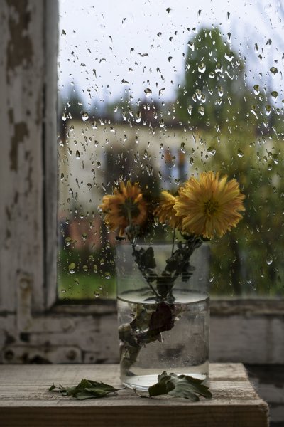 Хмурое летнее утро