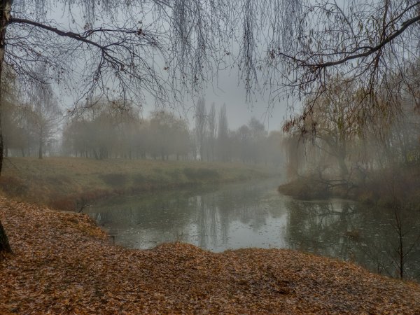 Серая осень