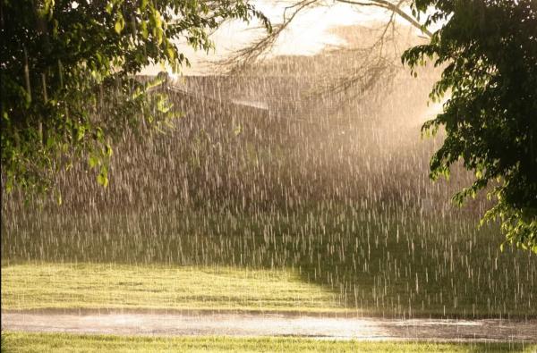 Явления природы дождь