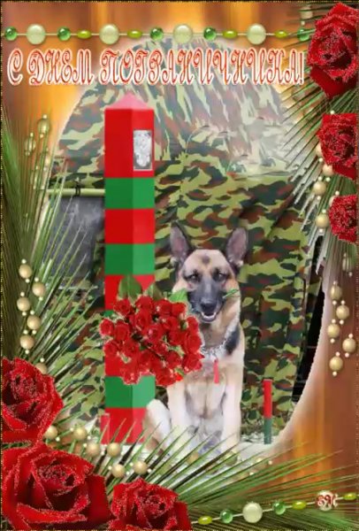 День пограничника