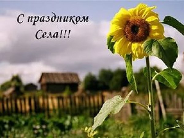 Открытка с днем села