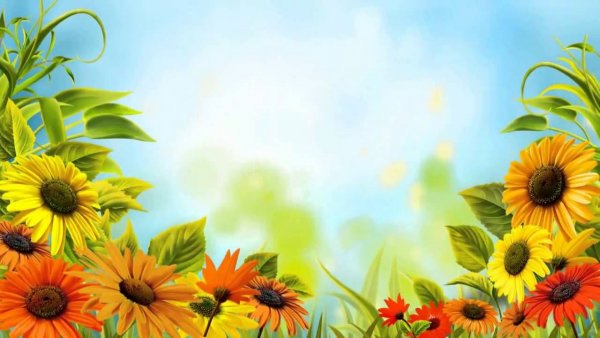 Баннер с подсолнухами