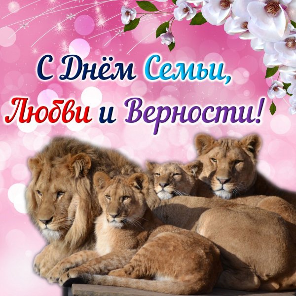 Открытки с днём семьи любви