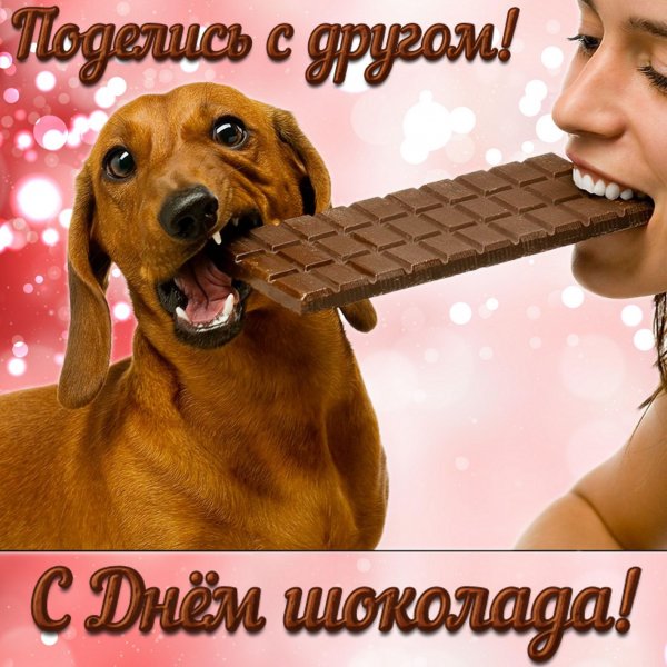 День шоколада открытки