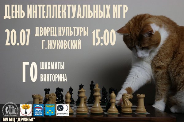 Международный день шахмат