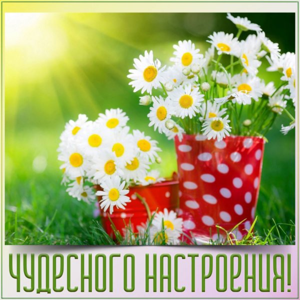 Доброго летнего утра и хорошего дня