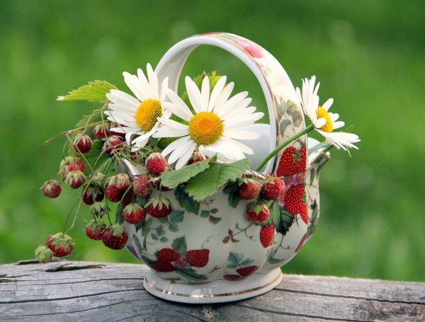 Доброе летнее утречко