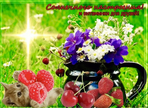 Летнее настроение