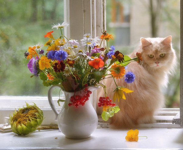 Доброго благословенного утра и хорошего дня