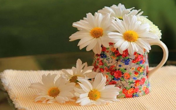 Ромашковое настроение