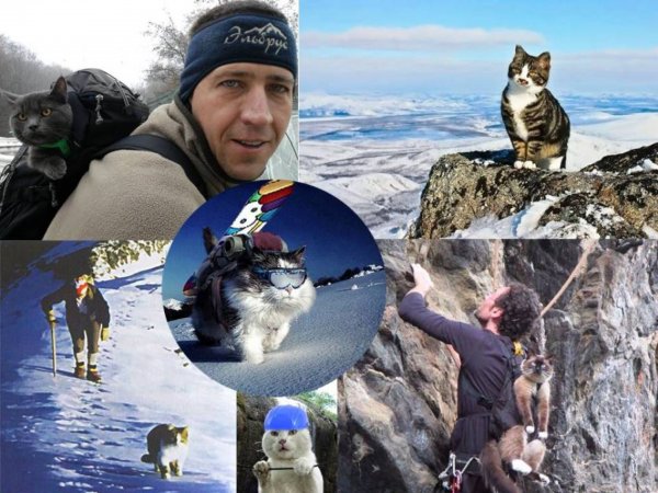 С днём рождения альпинисту