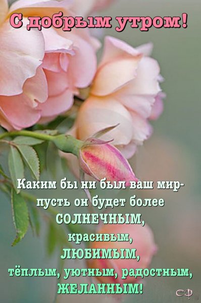 Мудрые пожелания с добрым утром