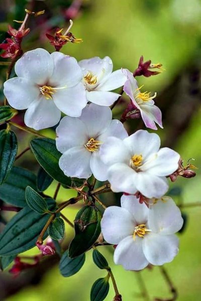 Доброе утро мечтайте