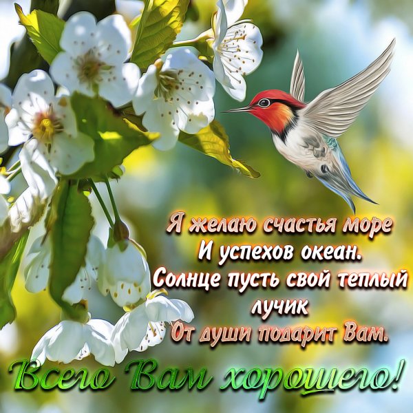 Добрые весенние пожелания