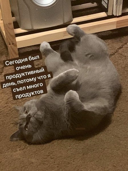 Прикольные картинки