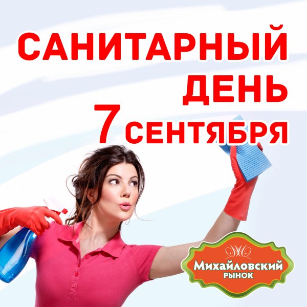 Санитарный день