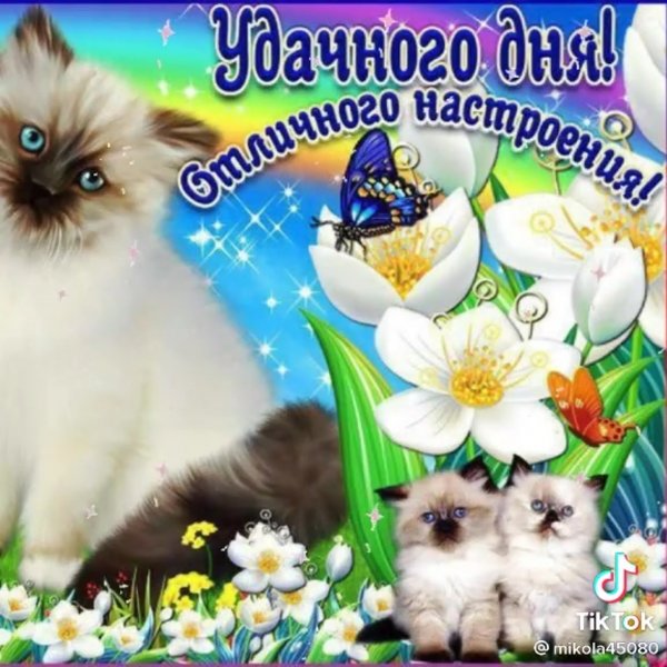 Пожелание удачного рабочего дня в картинках