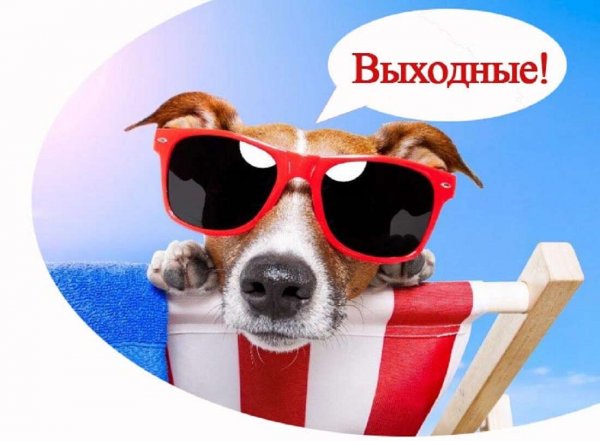 Выходные на носу