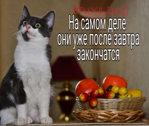 Ура длинные выходные