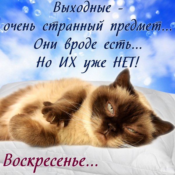 Хорошего воскресенья