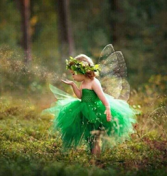 Девочка Фея