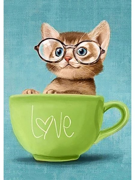 Рыжий котенок в очках