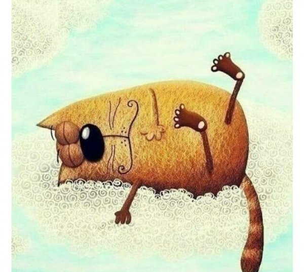 Бодрого дня прикольные