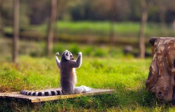 Позитивное утро