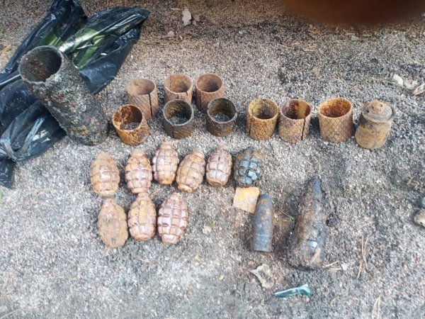 День толстяка и толстушки