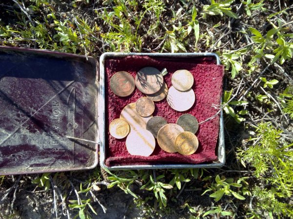 22 Июля день