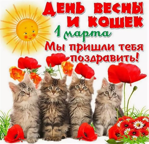 1 Марта день кошек