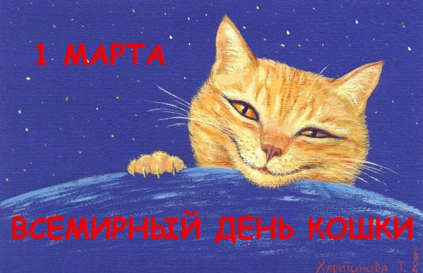 Всемирный день кошек