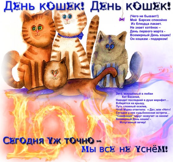 Всемирный день кошек