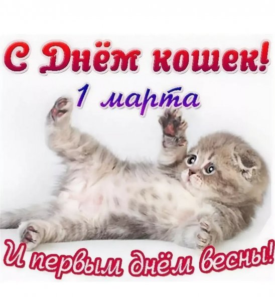 1 Марта день кошек в России
