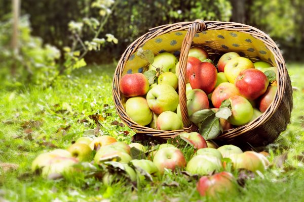 Святитель Феопемпт Никомидийский