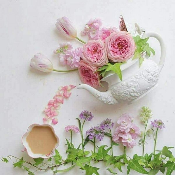 Утро цветочки