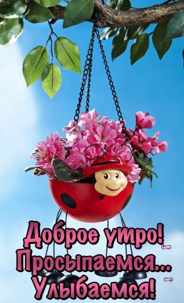 Необычные открытки с добрым утром