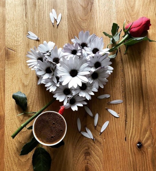 Кофе и ромашки