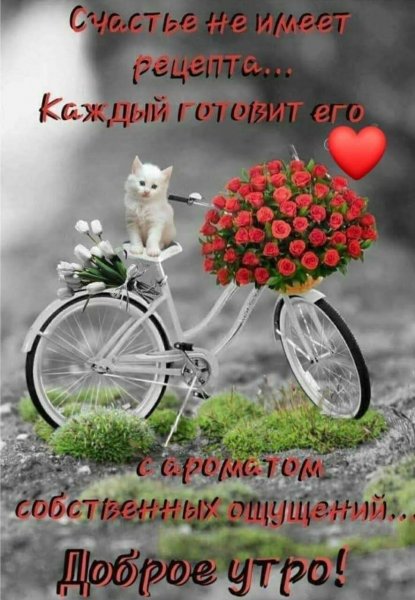 Креативное пожелание доброго утра и хорошего дня