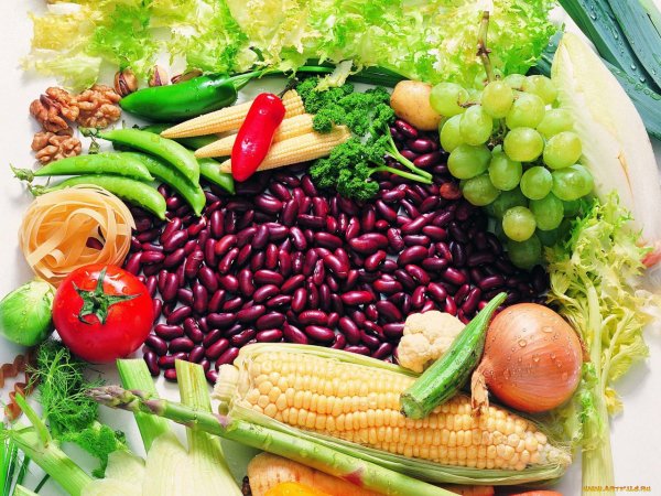 Святой праведный Евдоким