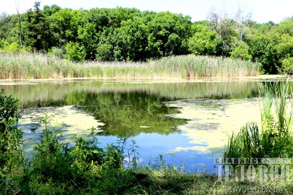Российские пейзажи