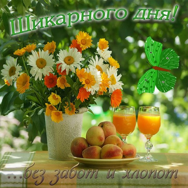 Доброго летнего утра и хорошего настроения