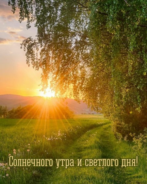 Светлого дня