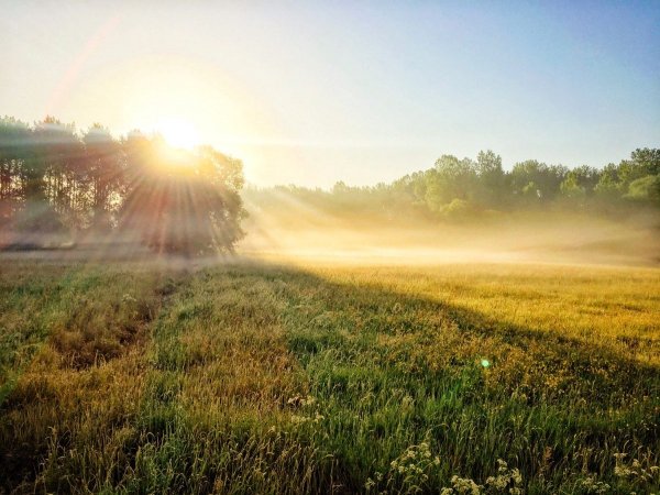 Светлого дня фото