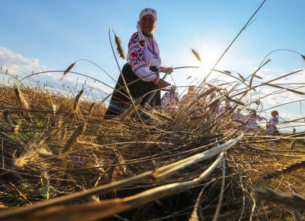 29 Июля день